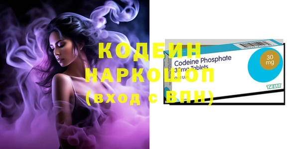 шишки Покачи