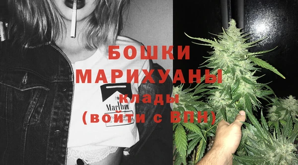 прущие грибы Аркадак