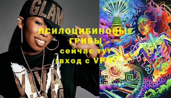 прущие грибы Аркадак