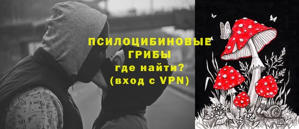 прущие грибы Аркадак