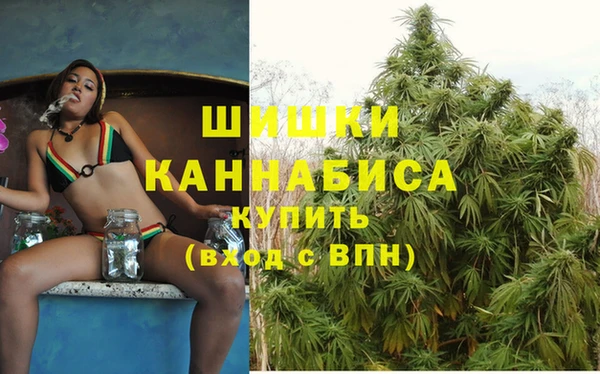 прущие грибы Аркадак