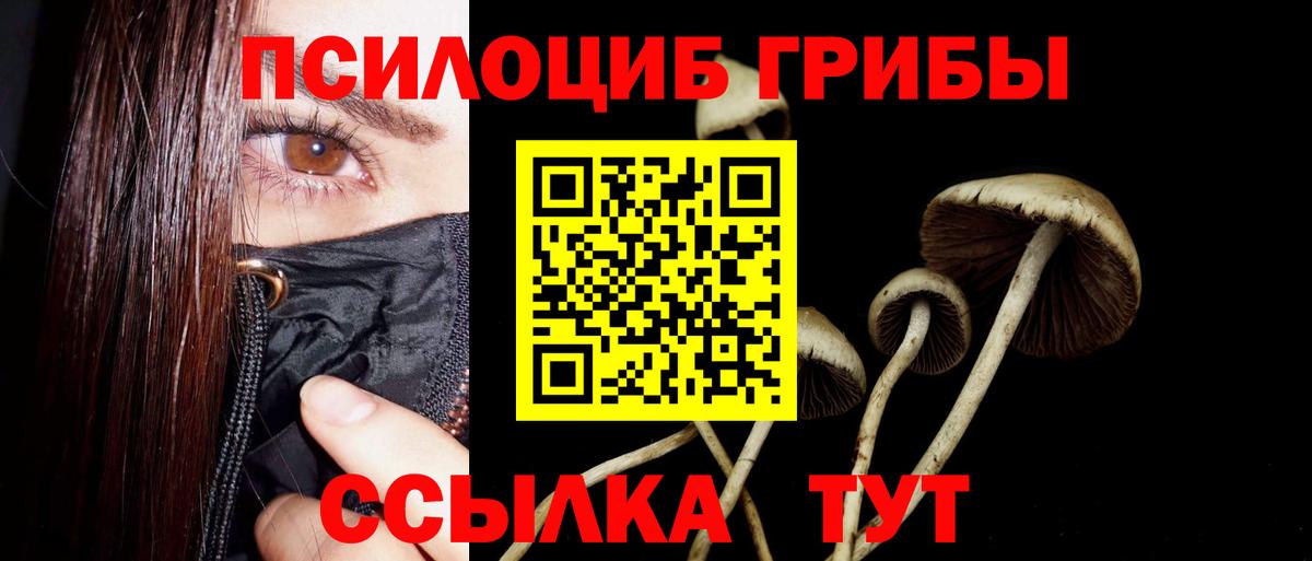 Псилоцибиновые грибы прущие грибы Тулун
