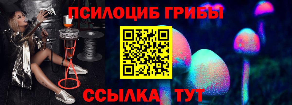 Тулун  Галлюциногенные грибы мицелий  Вход с VPN 